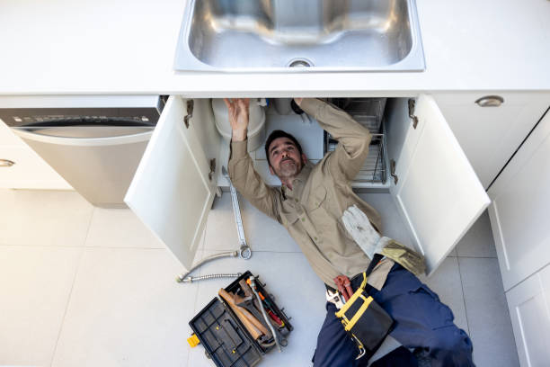 Best Residential Plumbing Services  in Marysville, MI