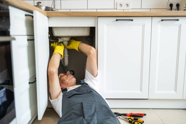 Best Garbage Disposal Repair and Installation  in Marysville, MI